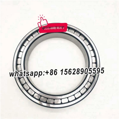 SL185044-TB-BR-C3 INA
